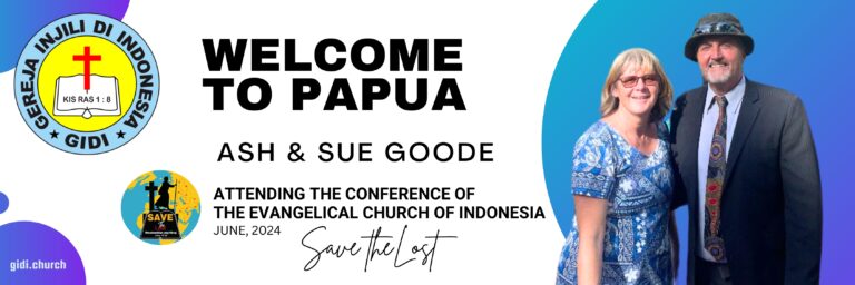 welcome to PAPUA-3